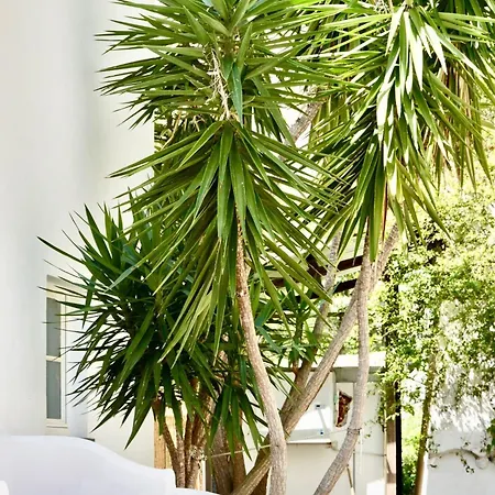 Cala Prodani * Savona